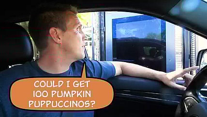 Making 100 Pumpkin Puppuccinos for Homeless Dogs