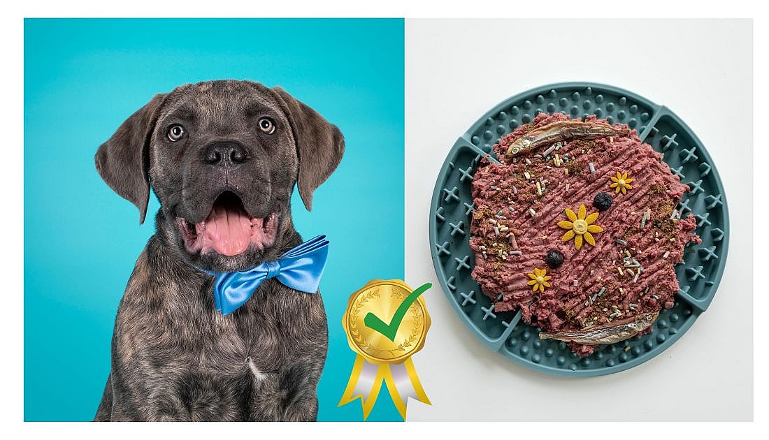 Best Dog Food For Cane Corsos