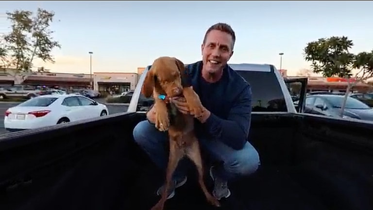 Blind Dog's Hilarious Whipped Cream Binge Has the Internet Melting