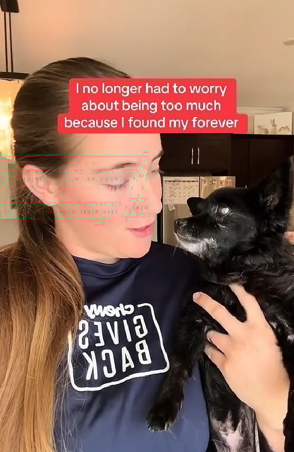 Abandoned 14-Year-Old Chihuahua