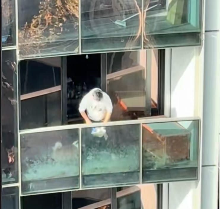 He Spent All of His Days Alone on a Balcony—Until a Stranger Fought to Save Him