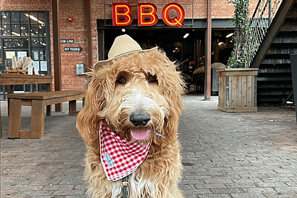 Dog Friendly restaurant in Texas