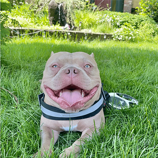 Lucky Thanos the micro bully