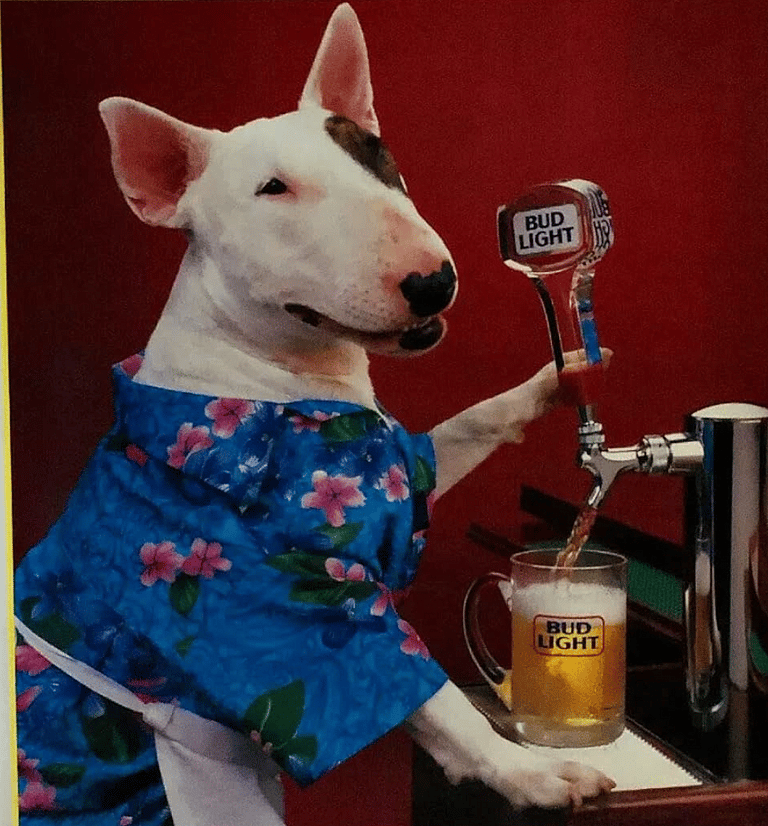 Spuds MacKenzie