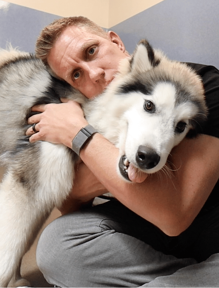 Malamute's Emotional Journey from Abandonment to Adoration