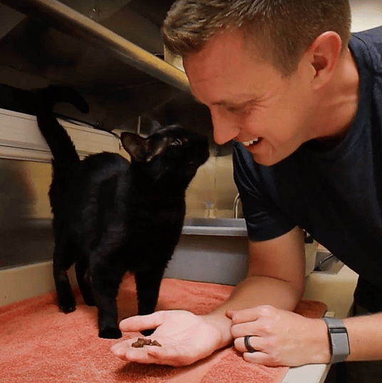 Black cat and rocky in the shelter