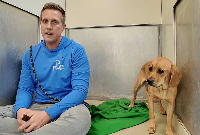 Ellie: Sitting With Dogs 70