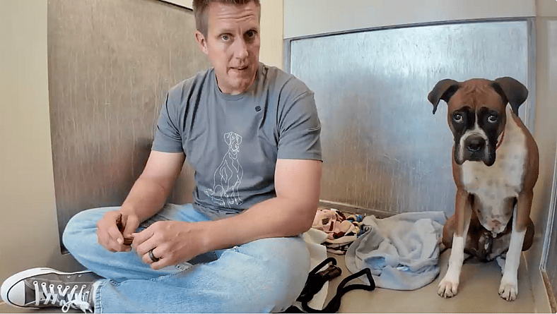 Kay - Sitting with dogs 87