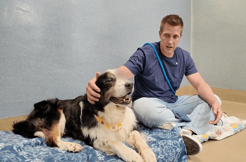 Sitting with dogs 93 - Cassie