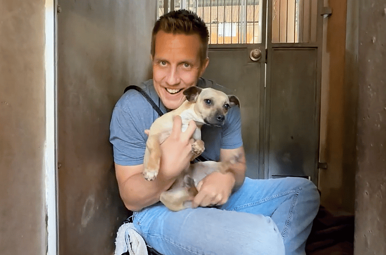 Sitting with dogs 94